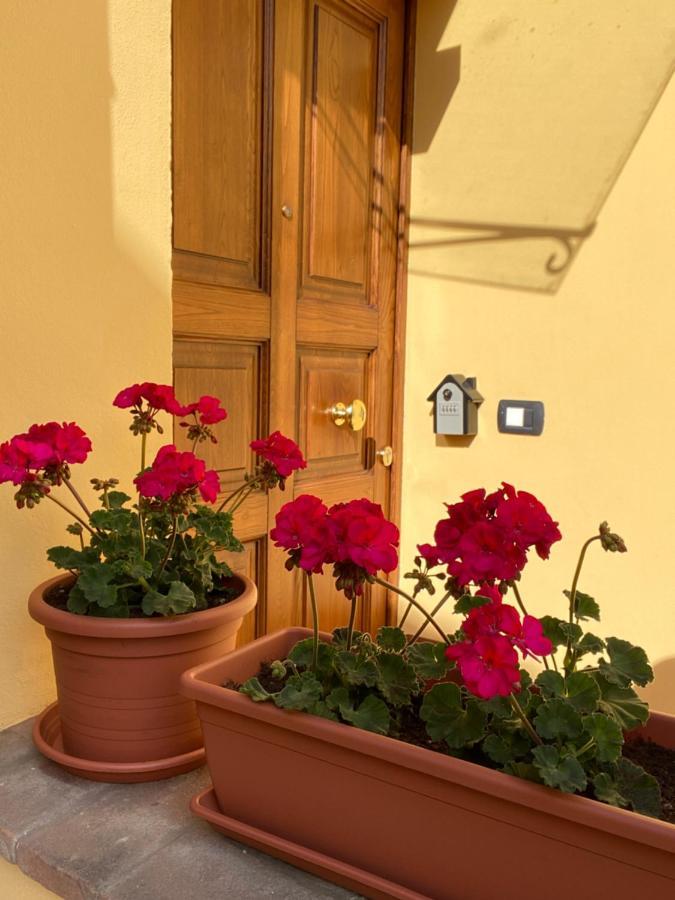 Le Casette Di Viola Arezzo Exteriér fotografie